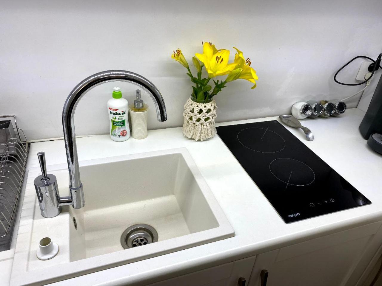 Green House Apartments Krasków Εξωτερικό φωτογραφία